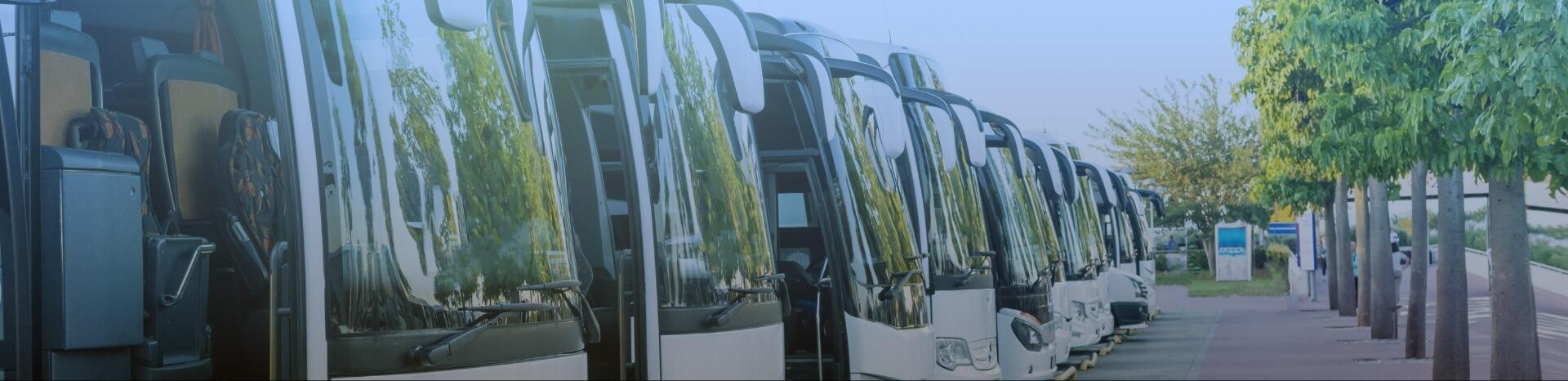 Buses Aligned in Parking Lot